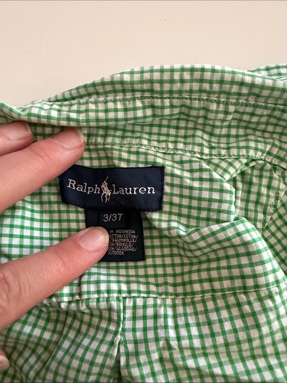 Ralph Lauren Light Green Gingham Button-Down Shirt